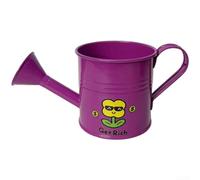 pour mini Iron Watering Can For Kids Garden Indoor Plants pour | pour durable Iron Build, Gentle Shower Spout, Safe Rounded Edges, Compact Lightweight Design, Colorful Cartoon Stickers