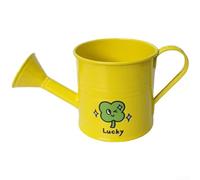 pour mini Iron Watering Can For Kids Garden Indoor Plants pour | pour durable Iron Build, Gentle Shower Spout, Safe Rounded Edges, Compact Lightweight Design, Colorful Cartoon Stickers