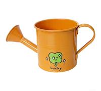 pour mini Iron Watering Can For Kids Garden Indoor Plants pour | pour durable Iron Build, Gentle Shower Spout, Safe Rounded Edges, Compact Lightweight Design, Colorful Cartoon Stickers