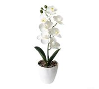 pour orchidée Synthétique Blanche et Violette 35cm pour déco | Teintes pour violet, plastique pour robuste, finition soignée, touche élégante, pour déco moderne(White)