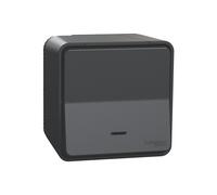 Poussoir étanche lumineux complet Mureva 1 poste gris Schneider