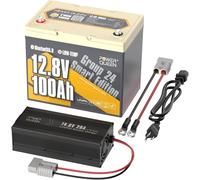 Power Queen 12V 100Ah Batterie Lithium Groupe 24 & 14,6V 20A Chargeur | Bluetooth, 100A BMS, 1280Wh Énergie, Protection à Basse Température, 15000 Cycles, IP65 Étanche pour Camping-car, Caravane
