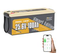 Power Queen Bluetooth 5.0 Batterie 25,6V 100Ah Lithium LiFePO4 avec BMS 100A RV