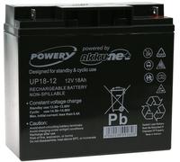 Powery® batterie plomb -remplace FIAMM type FG21803 12V 18Ah