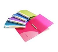 Pqt de 10 Classeurs 2 Anneaux 15mm A4 couleurs vives transparentes G