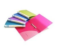 Pqt de 10 Classeurs 2 Anneaux 25mm A4 couleurs vives transparentes G