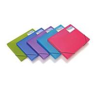 Rapesco 0804 Boîte à Documents A4+, Couleurs Assorties, Lot de 5