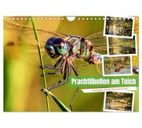 Prachtlibellen am Teich (Wandkalender 2027 DIN A4 quer), CALVENDO Monatskalender: Schillernde Flügel, leises Wasserrauschen und ein Hauch von Sommer am Teich.