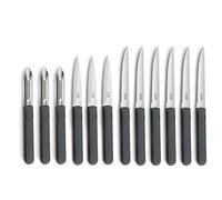 Pradel Essentiel Energy Couteaux de cuisine en Acier 13C, Lot de 12, Gris | Set 12 couteaux de cuisine : steak, office et éplucheur,Acier inoxydable 13C, Finition Brillante