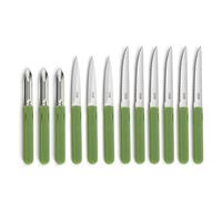 Pradel Essentiel Energy Couteaux de cuisine en Acier 13C, Lot de 12, Vert | Set 12 couteaux de cuisine : steak, office et éplucheur,Acier inoxydable 13C, Finition Brillante