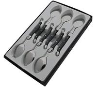 Pradel Excellence - Laguiole - Boîte de 6 Cuillères à Café - Acier Inoxydable - Mitre Inox - Manche Gris Marbré - Présentation en Boîte Vitrine - Dimensions 26 x 16 x 2,5 cm