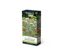 Prairies fleuries : coccinelles