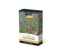 Prairies fleuries : jachère papillons
