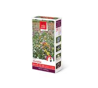 Prairies fleuries : prairie durable 30 m