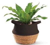 Praknu Cache Pot Osier Noir 25 cm - Jonc de Mer - Panier à Plantes Tressé | Tressage serré et bien stable, coton durable, pour vos fleurs, le rangement et la décoration, 25 cm de large