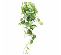 predolo Liane Feuillage Artificiel Retombant Plante Tombante Artificielle Effet Naturel Branche Verte Souple pour Intérieur, Composition Florale, 80cm, Feuille De Pothos Vert Clair