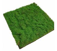 predolo Panneau de Verdure Décoratif Tapis de Lichen Artificiel Feuillage Synthétique Plaque de Mousse Imitation Souple et, 1m X 1m, Style to 4