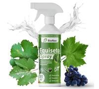 Prêle Spray 500 ml | Prêt à l'emploi | Protection naturelle préventive | Défense contre l'oïdium et le mildiou | Pour les jardins, les vergers et les cultures biologiques