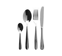 Premier Housewares ZZ Ménagère 16 pièces Monica Rosemary Cutlery Set