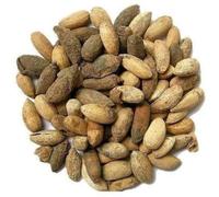 Premium Quality Neem Seeds - Vepa Ginjalu - Azadirachta Indica - secchi - 250 Grammi - per la Salute Benefici Seed:Seeds
