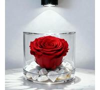 Premium-rose.com PremiUMROSE Boîte ronde avec rose rouge véritable stabilisée et marbre de Carrare, idée cadeau pour petite amie, femme, maman, Noël Saint Valentin, symbole de l'amour éternel (rouge