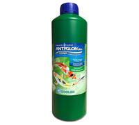 Préparation anti-algues pour bassins, élimine les algues, grand format 1000 ml