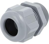 Presse-étoupe en plastique STEX24 - Marque propre STEX24 PG21x1,588 SKU-E UE 100 Polyamide (PA) Longueur du filetage 10,0 mm - 1