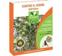 PRESTO BIO PHÉROMONES CONTRE LE VER DE L'OLIVE POUR PIÈGE À INSECTES