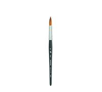 Pri Elite Syn Sh Round Taille 12