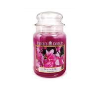 Price's - Grande bougie en pot Magnolia - Parfum doux, délicieux et de qualité - Parfum longue durée - Jusqu'à 150 heures de combustion