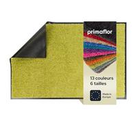 Primaflor Clean 40x60cm Vert Paillasson Intérieur Anti-Salissures, Tapis d’Entrée Absorbant et Antidérapant, pour Couloir et Entrée, Dos Vinyle, Bordures Caoutchouc, 9 mm, Plusieurs Tailles