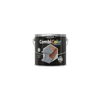 RUSTOLEUM CombiColor Original