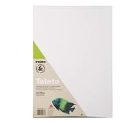 PRIMO Hobby & Professional - Toile Peinture en 100% Cartons Entoilés 25x35x0,4, Toile à Peindre pour Peinture Acrylique, Aquarelle et Huile, Papier Aquarelle et Couleurs - Acid Free ne Jaunit Pas
