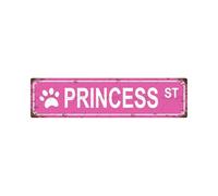 PRINCESS ST Plaque en métal vintage, panneau de rue, décoration d'intérieur, décoration murale, décoration de salle de bain, bar, café, garage, 40,6 x 10,2 cm