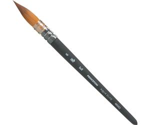 Princeton Brush Aqua Elite Brosser 6 1 pc