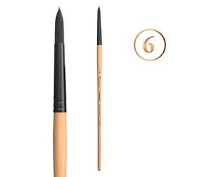 Princeton Catalyst Series P6400 Ronde Taille 6 Manche Long