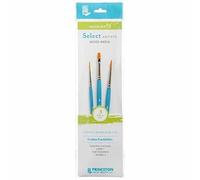 Daler Rowney Pinceaux Aquafine Série 400 pour aquarelle – Set de 4