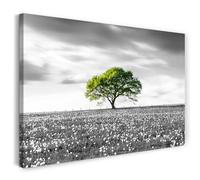 Printistico Impression sur toile (40x30 cm) arbre sur prairie avec pissenlits - paysage, photographie nature, cadre en bois véritable avec crochet,