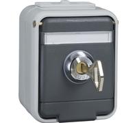 Prise AP Elso 455029