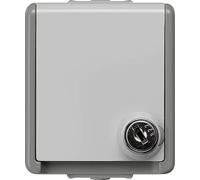 Prise AP Schuko 5UB4716 gris foncé/gris clair (5UB4716)