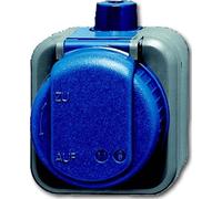 Prise Busch-Jaeger 2300 EWDI 2CKA002083A0343
