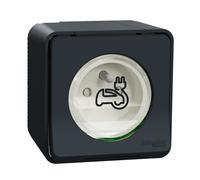 Schneider Electric - Prise courant 2P+T renforcée Mureva Styl MUR36010 - Saillie IP55 IK08 Gris
