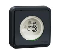 Schneider Electric Prise encastrée Mureva Styl MUR36011 2P+T renforcée IP55 IK08 gris