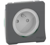 Schneider Electric - Prise de courant Mureva Styl MUR38030 - 2P+T à vis - IP55 IK08 - Gris
