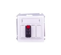 Prise haut parleur individuelle avec Simon Basic BMGL31.01/11
