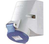Prise murale femelle CEE 16 A 3 pôles MENNEKES TwinCONTACT 1720 230 V blanc, bleu 1 pc(s)