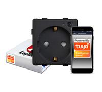 Prise murale intelligente ZigBee TUYA RTX SH C