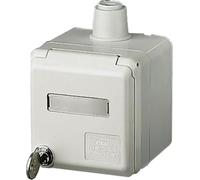 Prise murale Mennekes AP CEE, Cepex, 16 A, 5 p, 400 V, 6 h, IP44, gris clair, avec serrure et verrouillage, 1 pièce.