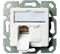 Prise réseau encastré insert avec plaque centrale CAT 6a 2 ports Telegärtner 100000007 blanc-alpin
