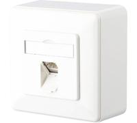 Prise réseau montage apparent (en saillie) CAT 6 1 port Metz Connect 1307370002-I blanc pur